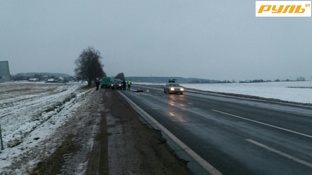 На трассе Минск-Гродно шофёр умер при столкновении с лосем