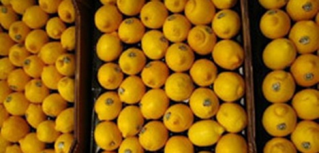 В Австрии грузовик  высыпал на дорогу 22 тонны лимонов