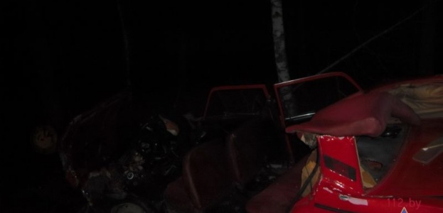 В Светлогорском р-не безправник на красном ВАЗе врезался в дерево его пассажир погиб (фото)