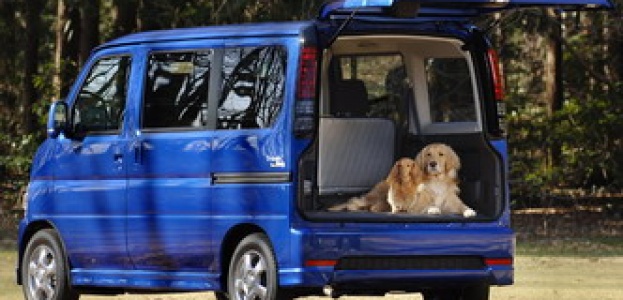 За что собаки любят Honda