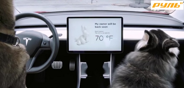 Tesla разработала режим безопасности животных в салоне электромобиля